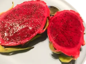 Red Dragon Fruit Plant (Hylocereus undatus)