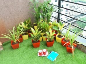Attractive Foliage Plants for a Sunny Balcony Garden