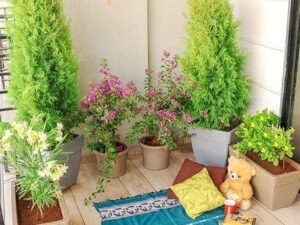 Charming Flowering and Foliage Plants for a Garden in Balcony