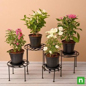 Flowering plants with metal stand for sunny location