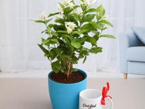 Mogra Plant with Mug for Coffee Lover Dad