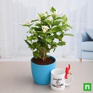 Mogra Plant with Mug for Coffee Lover Dad
