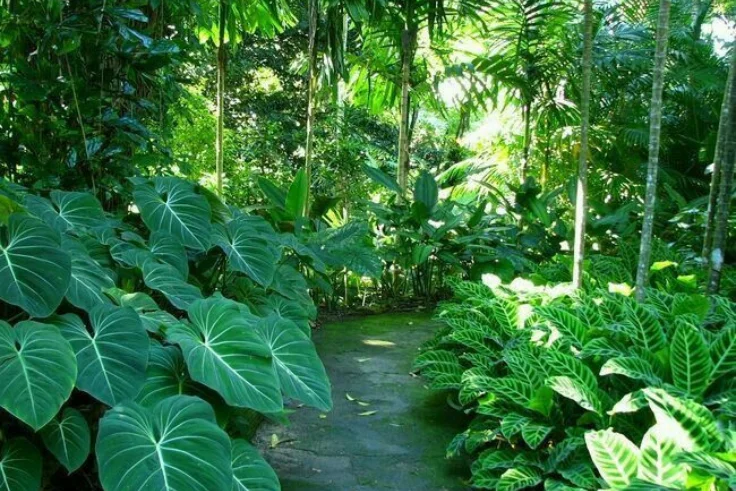 landscaping services, landscaping design, landscaping company, landscaping companies, garden landscaping, hardscaping, landscaping architect, landscaping trees, garden design landscaping, desert landscaping, gardening and landscaping, landscaping near me, landscape design, landscaping ideas, Landscaping work, Top Landscaping companies in India, Landscaping in India