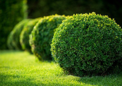 landscaping services, landscaping design, landscaping company, landscaping companies, garden landscaping, hardscaping, landscaping architect, landscaping trees, garden design landscaping, desert landscaping, gardening and landscaping, landscaping near me, landscape design, landscaping ideas, Landscaping work, Top Landscaping companies in India, Landscaping in India