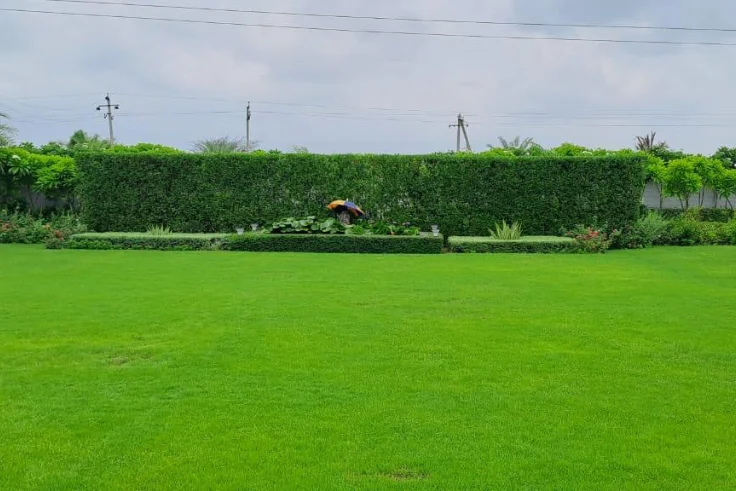 landscaping services, landscaping design, landscaping company, landscaping companies, garden landscaping, hardscaping, landscaping architect, landscaping trees, garden design landscaping, desert landscaping, gardening and landscaping, landscaping near me, landscape design, landscaping ideas, Landscaping work, Top Landscaping companies in India, Landscaping in India