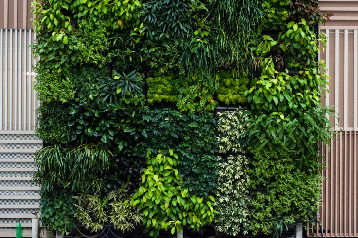 landscaping services, landscaping design, landscaping company, landscaping companies, garden landscaping, hardscaping, landscaping architect, landscaping trees, garden design landscaping, desert landscaping, gardening and landscaping, landscaping near me, landscape design, landscaping ideas, Landscaping work, Top Landscaping companies in India, Landscaping in India