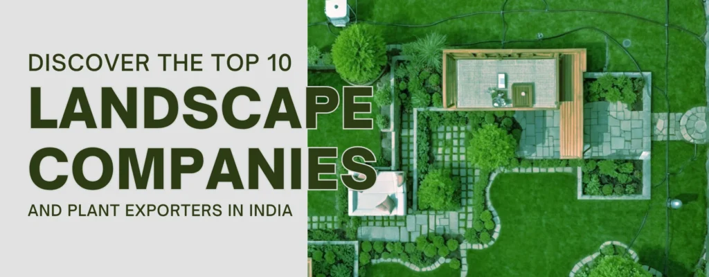 Landscape company in India, Top Landscape companies in India, Top landscape architects in India, Top 10 Landscaping companies in India, Best landscape designers in India, List of landscape architects in India, Promising landscape service providers, landscaping business, landscaping and gardening services, landscape planning, garden design and landscaping, Bagwani Nursery, Wholesale Plant Supplier, Wholesale plant in India, Nursery in India, Bagwani Landscaping company, Landscaping
