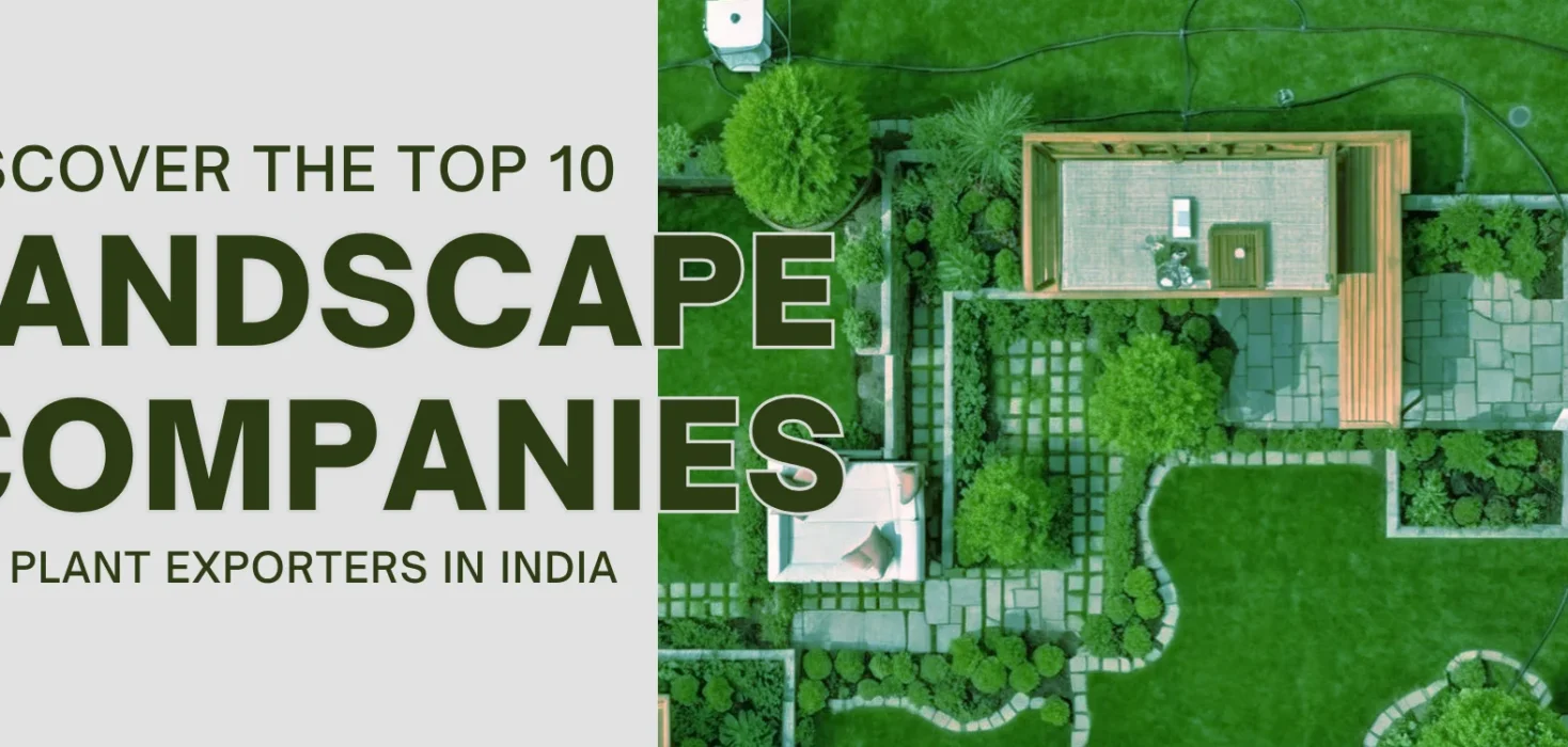 Landscape company in India, Top Landscape companies in India, Top landscape architects in India, Top 10 Landscaping companies in India, Best landscape designers in India, List of landscape architects in India, Promising landscape service providers, landscaping business, landscaping and gardening services, landscape planning, garden design and landscaping, Bagwani Nursery, Wholesale Plant Supplier, Wholesale plant in India, Nursery in India, Bagwani Landscaping company, Landscaping