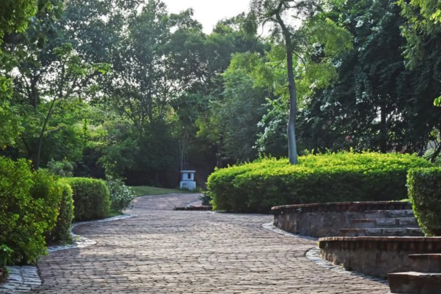 Landscape Architecture, landscape design, Landscape projects, projects in India, landscape designer, landscape architect, Landscaping in India, Bagwani Nursery, Landscaping company in India, Wholesale Plants supplier, Nursery in India