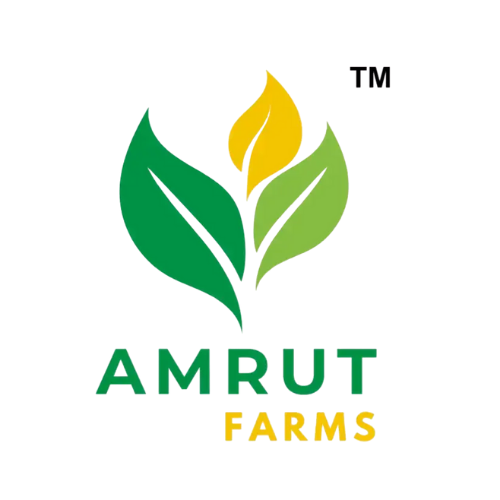 Bagwani Nursery Clients, landscaping services, landscaping design, landscaping company, landscaping companies, garden landscaping, hardscaping, landscaping architect, landscaping trees, garden design landscaping, desert landscaping, gardening and landscaping, landscaping near me, landscape design, landscaping ideas, Landscaping work, Top Landscaping companies in India, Landscaping in India