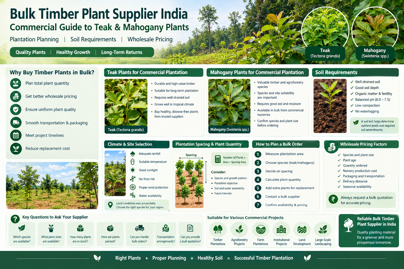 Bulk Timber Plant Supplier India: Commercial Guide to Teak and Mahogany Plants